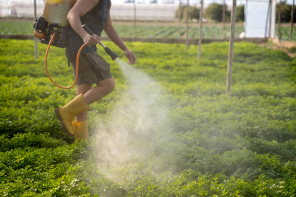 Trusted Osceola, IA Pest Control Experts