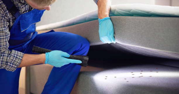 Best Termite Control Services  in Osceola, IA